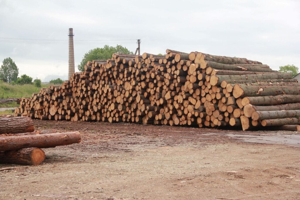 raw wood piled up for manufacturing